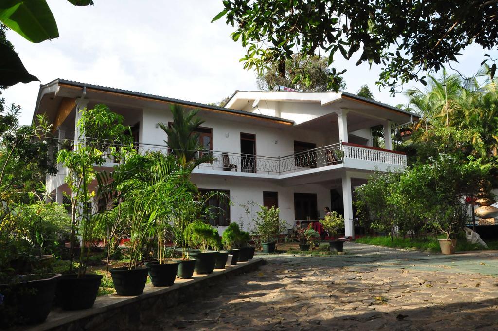 Polina Resort Hikkaduwa Exterior foto